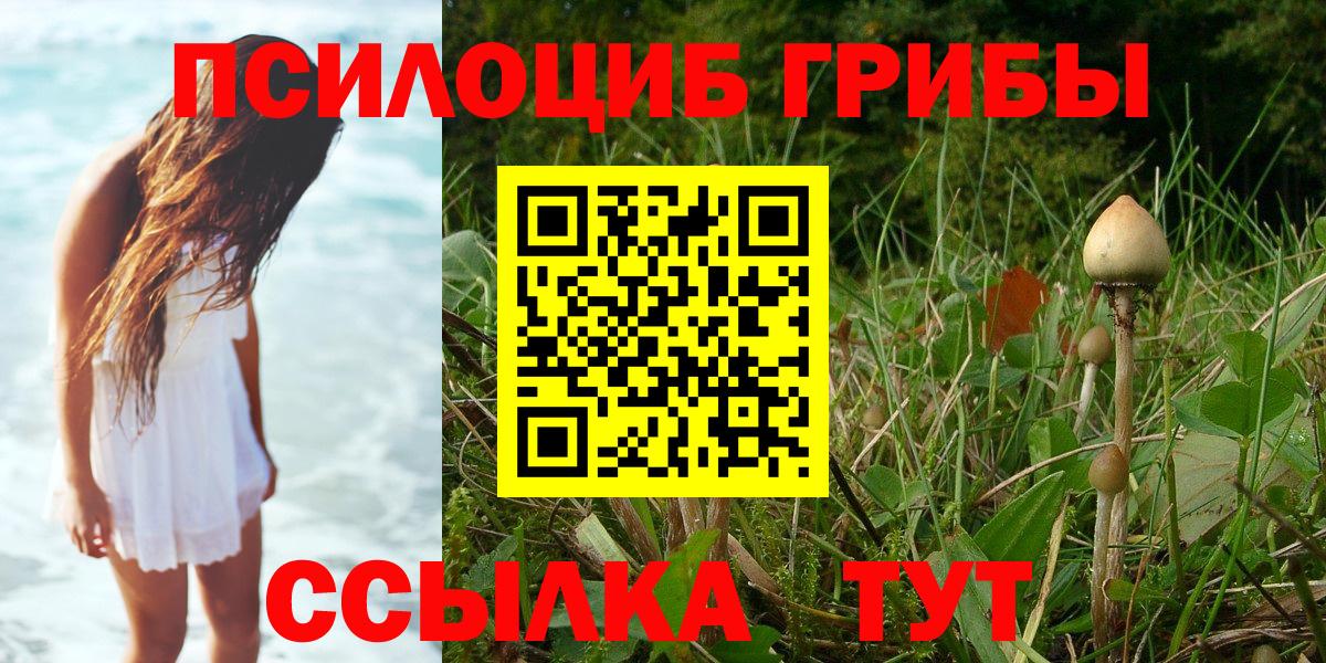 Галлюциногенные грибы мухоморы Кимры